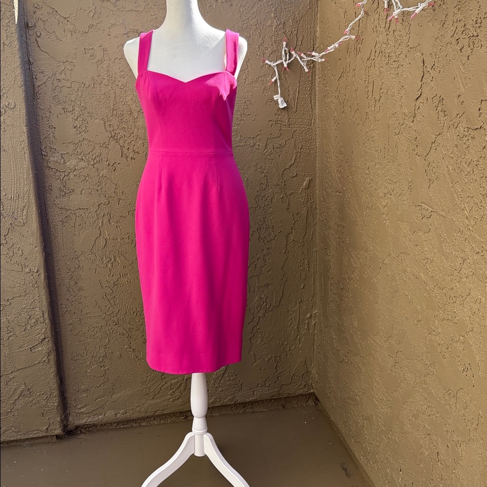 Dress the Population Pink dress
